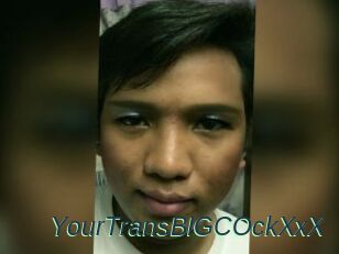 YourTransBIGCOckXxX