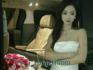 Yangqinmm