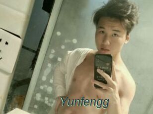 Yunfengg