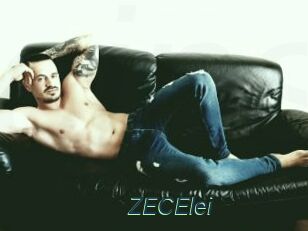 ZECElei