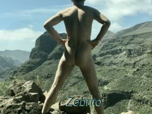 Zebrito