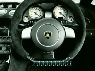 Z000000001