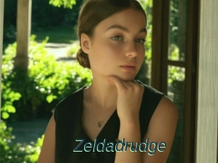 Zeldadrudge