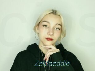 Zeldaeddie