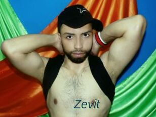 Zevit
