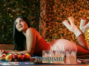 Zoeignatu