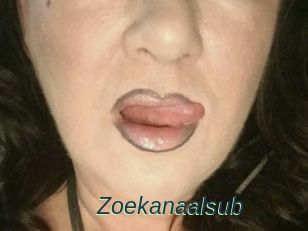 Zoekanaalsub